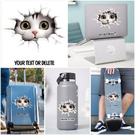 ノベルティ突破口覗き可愛い猫ネコ シール