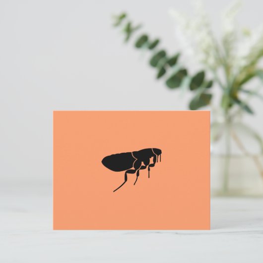 ノミ ポストカード (スタンド正面)