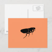 ノミ ポストカード (正面/裏面)