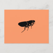 ノミ ポストカード (正面)