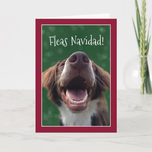 ノミNavidad! クリスマスのユーモアのあるな犬 シーズンカード (正面)