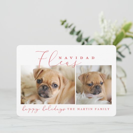 ノミNAVIDAD シーズンカード (スタンド正面)