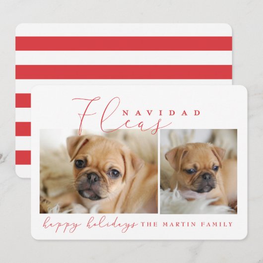 ノミNAVIDAD シーズンカード (正面/裏面)