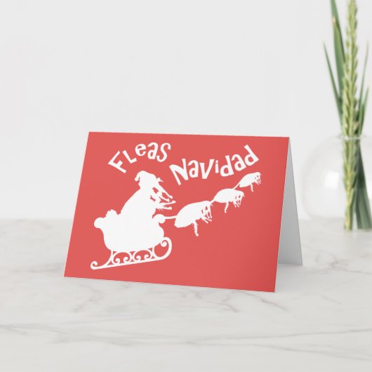 ノミNavidad シーズンカード (正面)