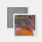 ノム！ マグネット (正面/裏面)