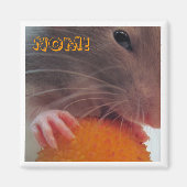 ノム! マグネット (正面)