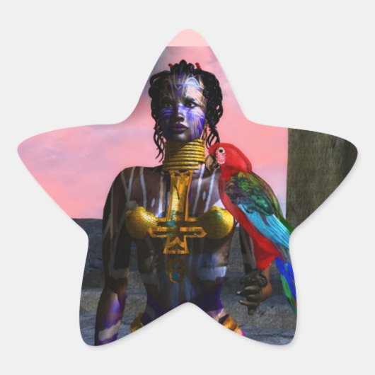 ノラサイバー戦士スター 星シール (正面)