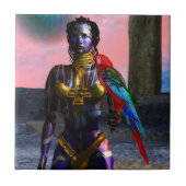 ノラサイバー戦士 タイル (正面)