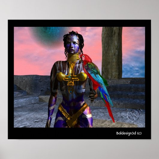 ノラサイバー戦士 ポスター (正面)