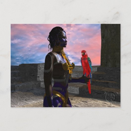 ノラサイバー戦士 ポストカード (正面)