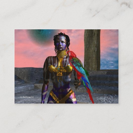 ノラサイバー戦士 名刺 (裏面)