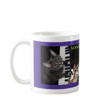 ノラザピアノキャット