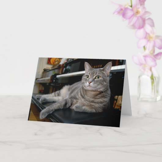 ノラザピアノ猫-折り畳み空白のカード-スタイル005 カード (蘭)