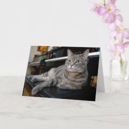 ノラザピアノ猫-折り畳み空白のカード-スタイル005 カード