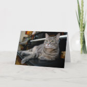 ノラザピアノ猫-折り畳み空白のカード-スタイル005 カード (正面)