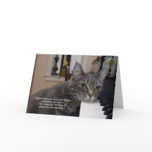 ノラ引用文7"x5"折り畳みグリーティングカード