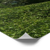 ノリスレイクプリント ポスター (角)