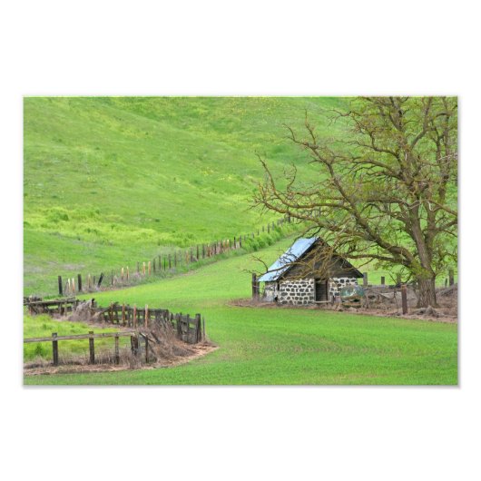 ノルで。 フォトプリント            (正面)