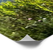 ノルウェーお祝い ポスター (角)