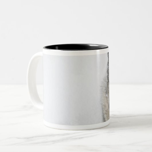 ノルウェーのエルクハウンド ツートーンマグカップ (正面左)