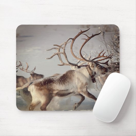 ノルウェーのトナカイ、マウスパッド マウスパッド (マウス)