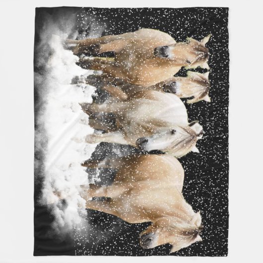 ノルウェーのフィヨルドの雪Blnaket フリースブランケット (正面)