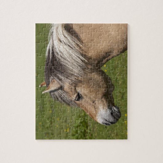 ノルウェーのフィヨルドの馬 ジグソーパズル (縦)