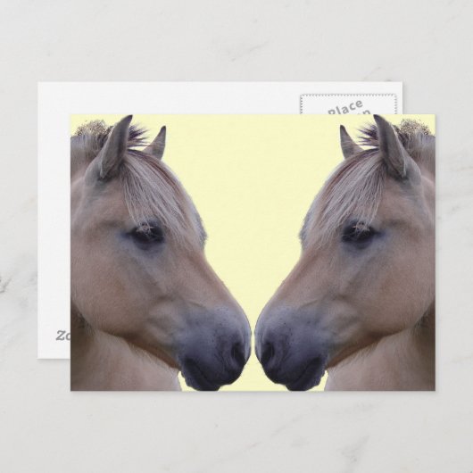 ノルウェーのフィヨルド ポストカード (正面/裏面)