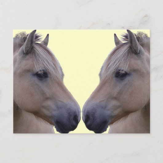 ノルウェーのフィヨルド ポストカード (正面)