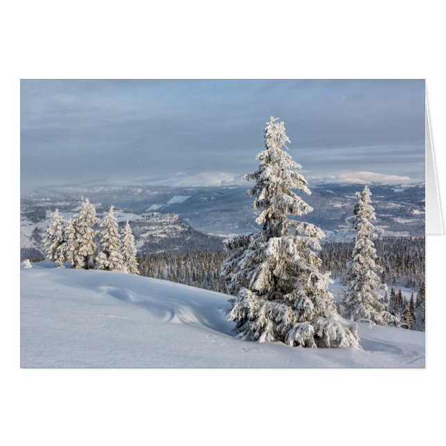 ノルウェーの冬 (正面横)