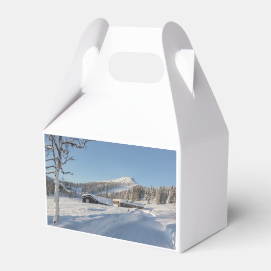 ノルウェーの冬 フェイバーボックス (裏面サイド)