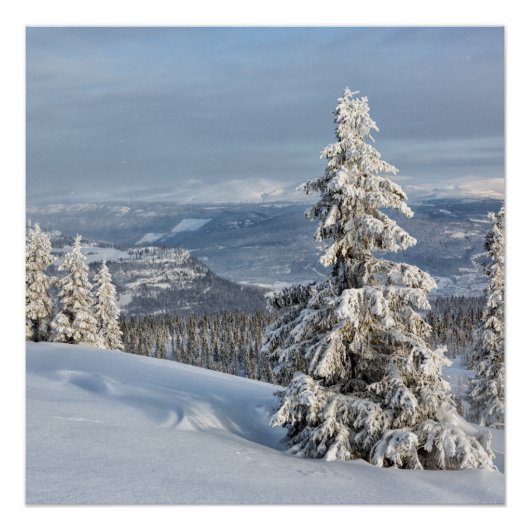 ノルウェーの冬 ポスター (正面)