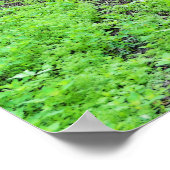 ノルウェーの学校の子供たちノルウェーフォーク博物館 ポスター (角)