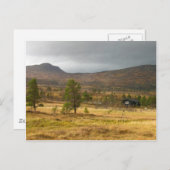 ノルウェーの山の高原の黄金の秋 ポストカード (正面/裏面)