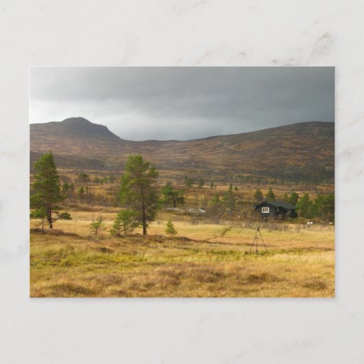 ノルウェーの山の高原の黄金の秋 ポストカード (正面)