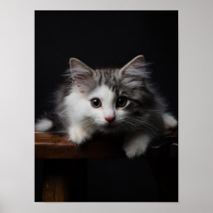 ノルウェーの森の子猫 ポスター