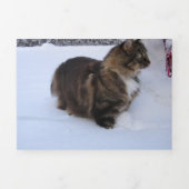 ノルウェーの森の猫が雪の中にいる 三つ折り案内状 (カバー)