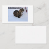 ノルウェーの森の猫が雪の中に 紹介カード (正面/裏面)