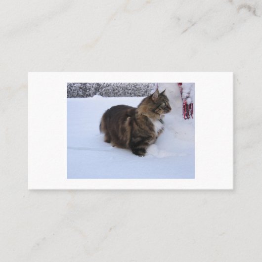 ノルウェーの森の猫が雪の中に 紹介カード (正面)
