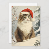 ノルウェーの森の猫のクリスマス シーズンカード (正面/裏面)