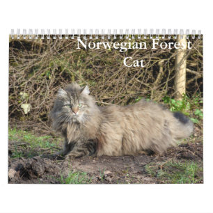 ノルウェーの森の猫カレンダー カレンダー