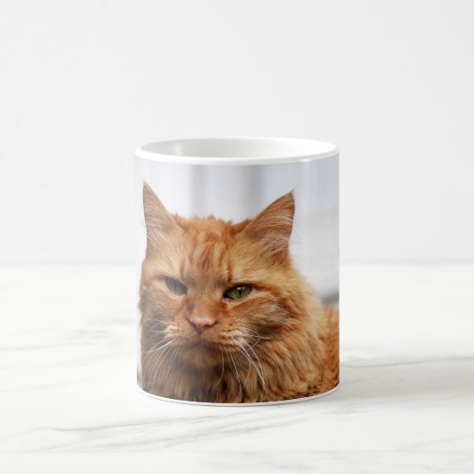 ノルウェーの森の猫マグ コーヒーマグカップ (中央)