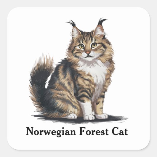 ノルウェーの森の猫 スクエアシール (正面)