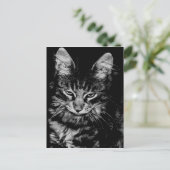 ノルウェーの森の猫 ポストカード (スタンド正面)