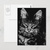 ノルウェーの森の猫 ポストカード (正面/裏面)