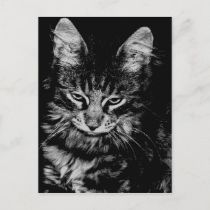 ノルウェーの森の猫 ポストカード