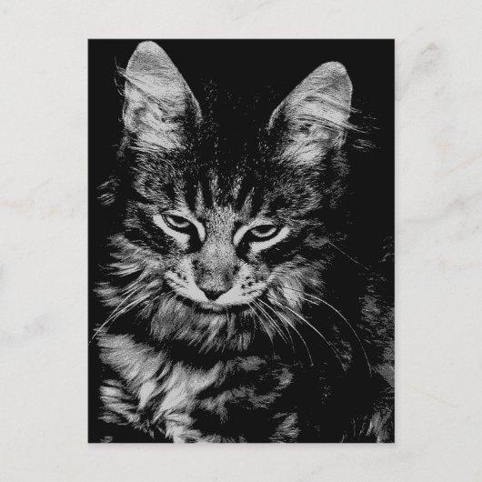 ノルウェーの森の猫 ポストカード (正面)