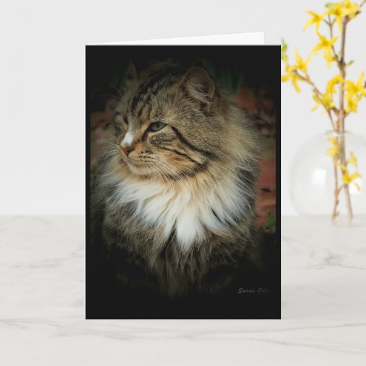 ノルウェーの森恋しく思猫のYouカード カード (黄色い花)