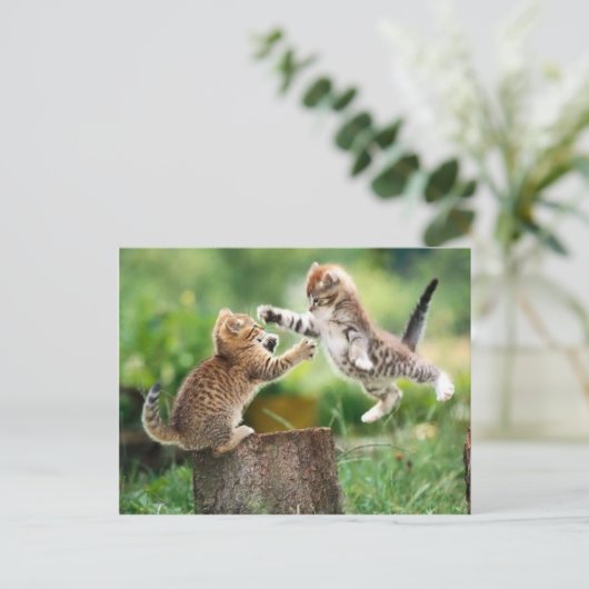 ノルウェーの森林子ネコ ポストカード (スタンド正面)