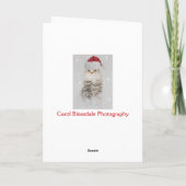 ノルウェーの森林猫のクリスマスカード シーズンカード (裏面)